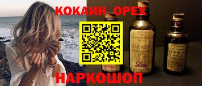 крисы Новодвинск