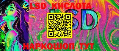 крисы Новодвинск