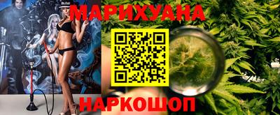 крисы Новодвинск