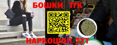 крисы Новодвинск