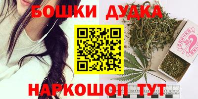 амф Новозыбков