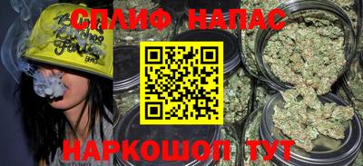 крисы Новодвинск